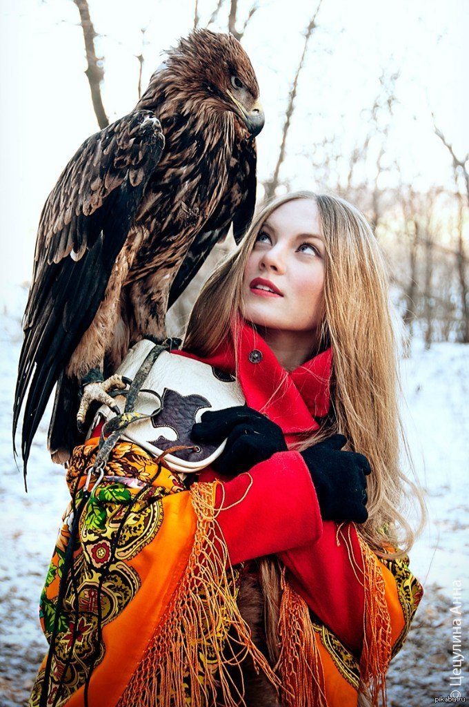 Wild girl. Фотосессия с соколом. Фотосессия с хищной птицей. Женщина Сокол. Девушка с хищной птицей.