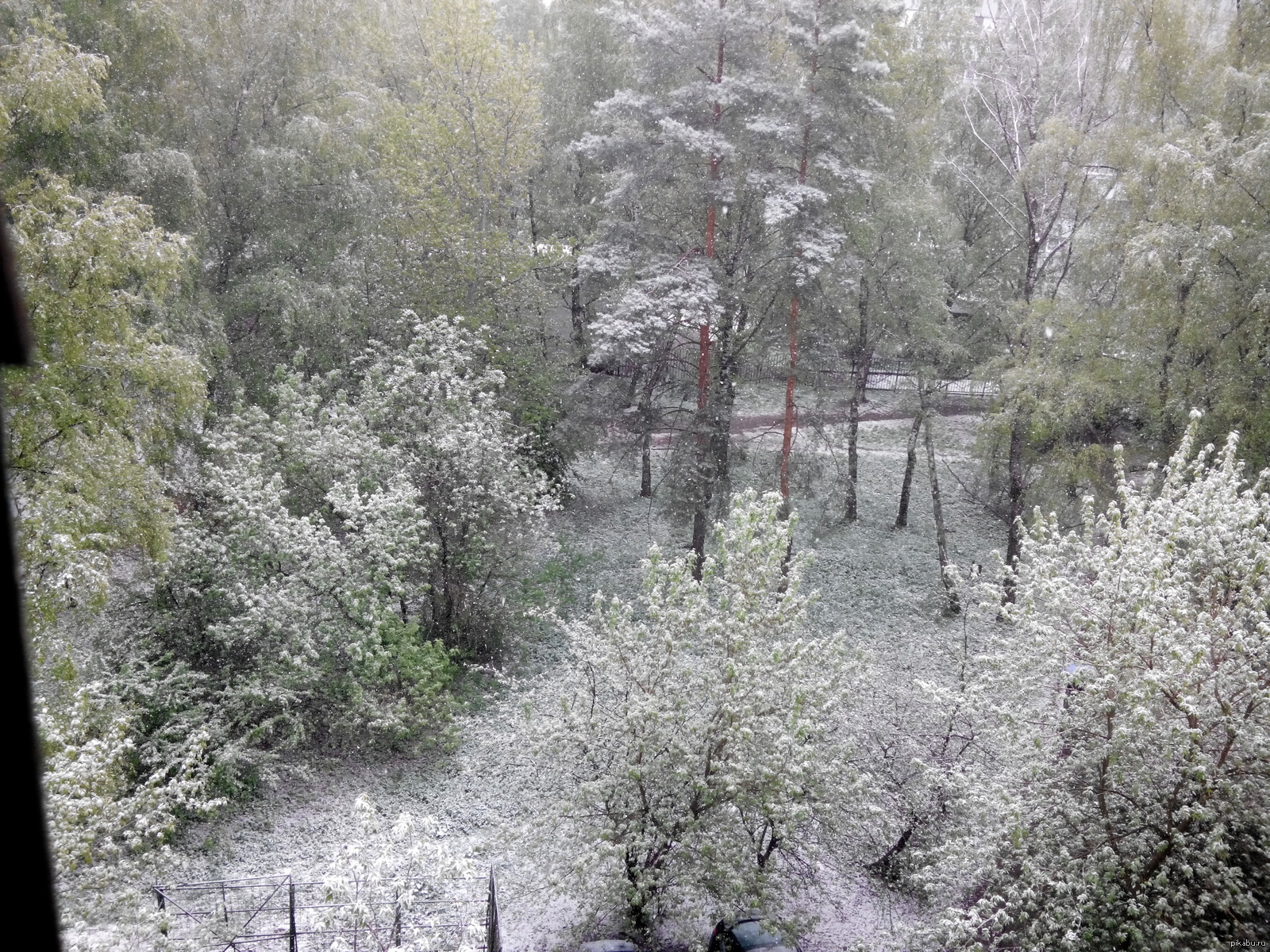 Снег в мае в Москве