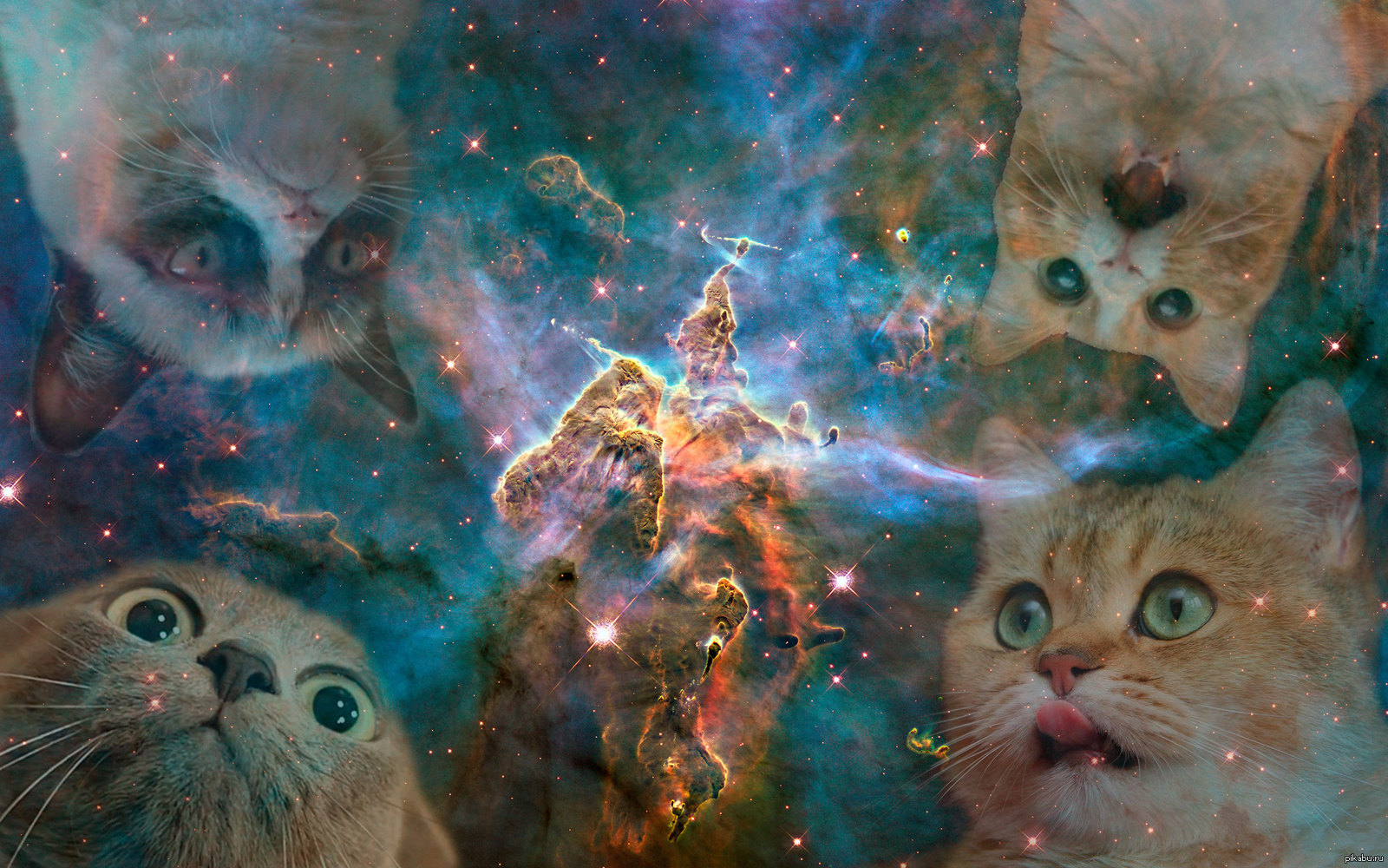 Обои котики мемы. Космический кот. Котик в космосе. Кот на фоне космоса. Космический кот арт.