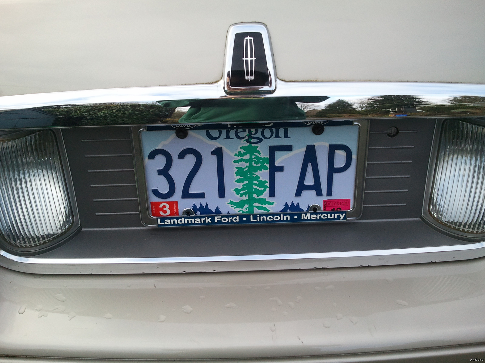 Your marks are getting. Прикольные номера на машину. License Plate. Смешные номера машин. Забавные номерные рамки.