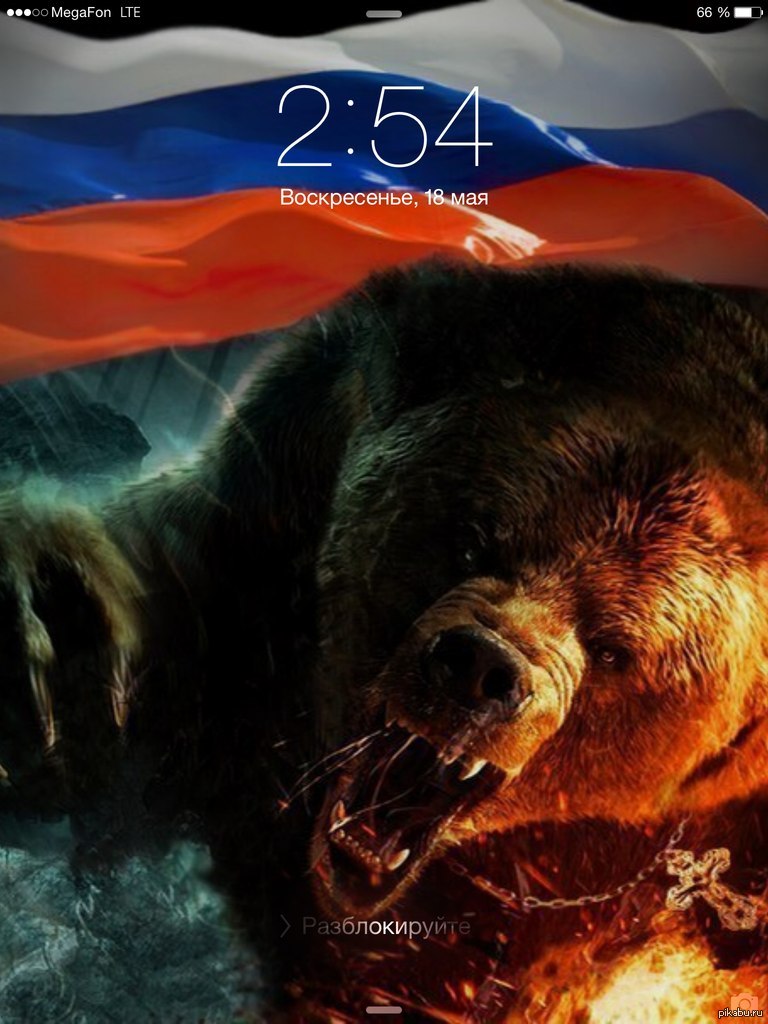 День россии страшный. Русский медведь. Медведь на фоне флага. Флаг России с медведем.
