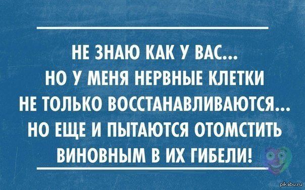 Нервные клетки такие нервные... | Пикабу