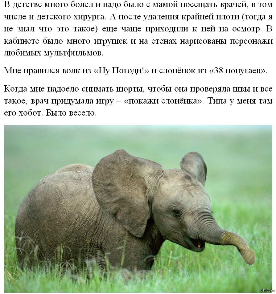 Слушать песню есть у слоника мама носатая. Это был Слоненок. Хотя это был Слоненок. Не будем говорить кто хотя это был Слоненок. У меня есть Слоненок.