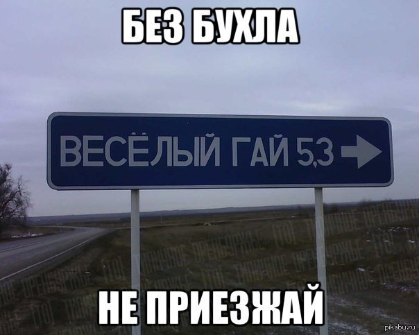 Веселый Гай | Пикабу