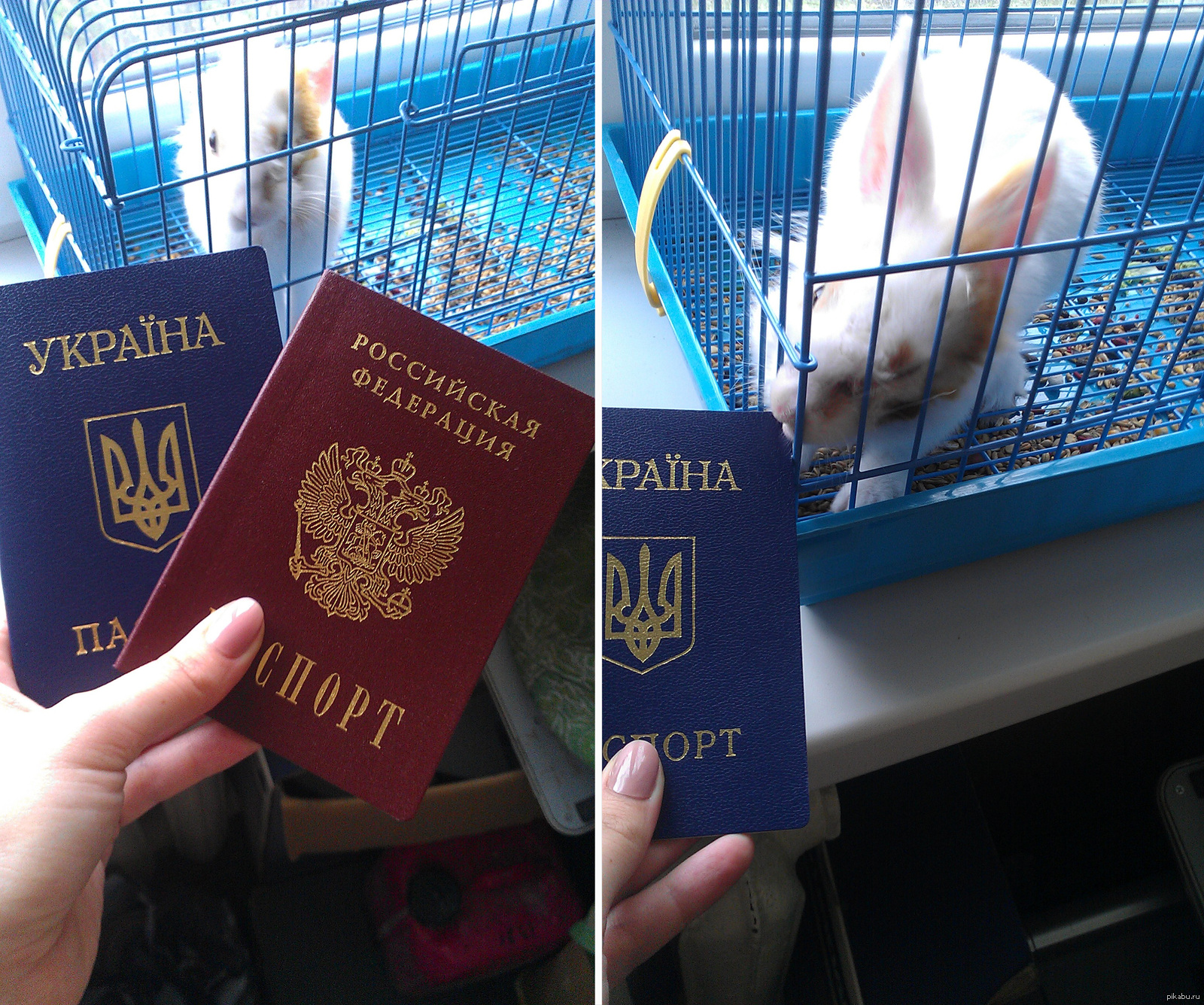 Украинские паспорта в Крыму