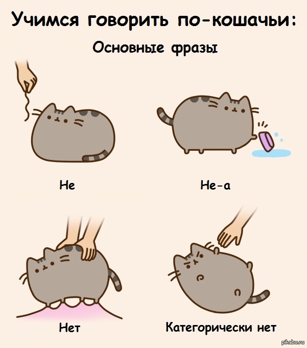 Что говорят кошки