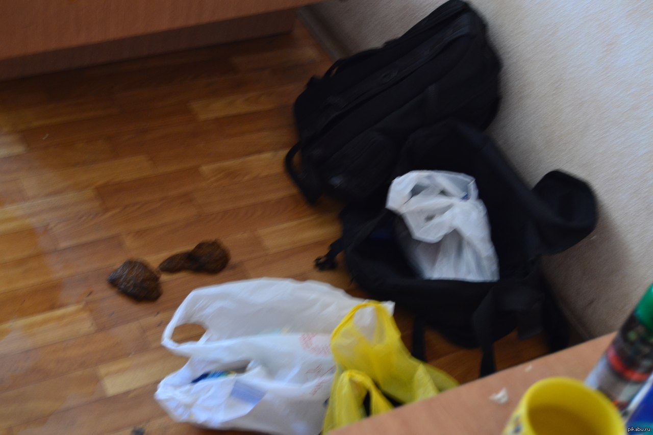 уснула на вписке Уснул на вписке( | Пикабу