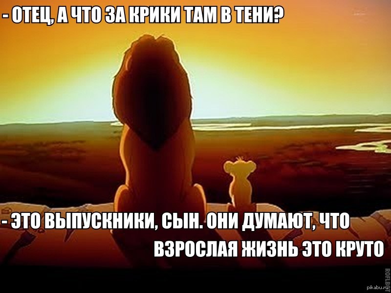 Взрослая жизнь. Шутки про выпускников. Шутки про школу на выпускной. Мемы про выпускников. Мемы про последний звонок.