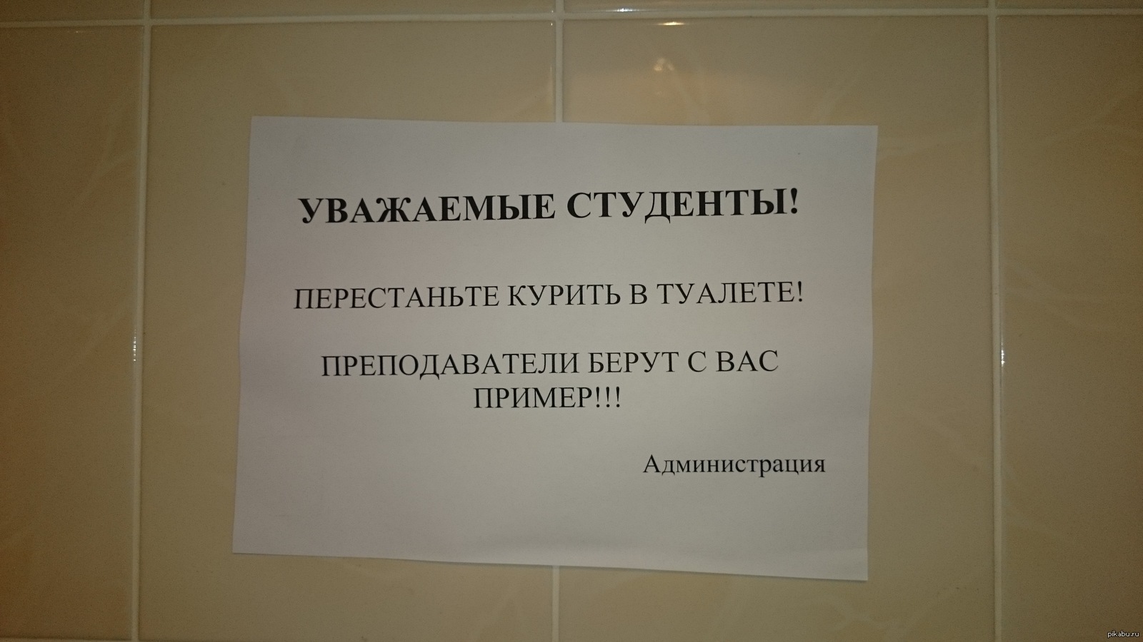 Студенты не уважают. Объявление в туалет. Смешные объявления в туалете. Прикольные объявления для студентов. Креативные надписи в туалете.