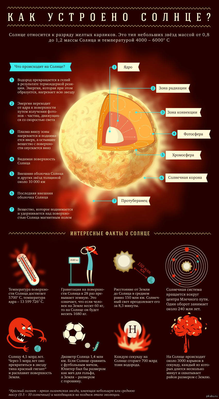 Солнечный факт. Строение солнца инфографика. Инфографика солнце. Инфографика факты о солнце. Интересные факты о солнце.