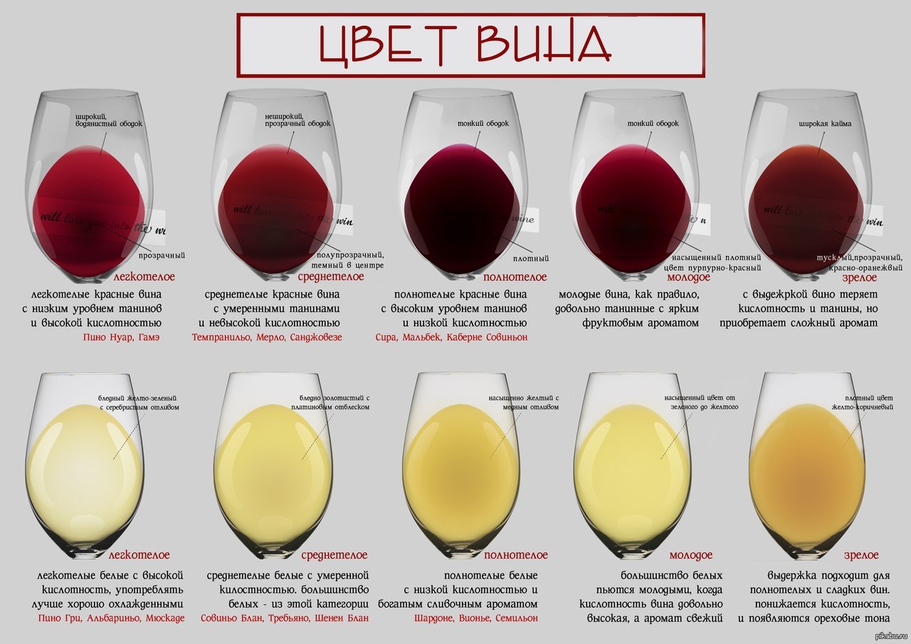 Vina ru. Классификация белых вин. Винные сорта винограда таблица. Вино сорта винограда таблица. Цвет вина.