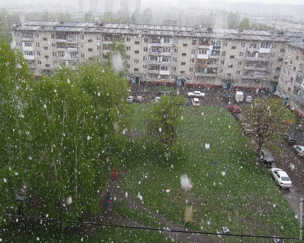 В россии выпадет снег. Снег летом. Летний снег. Снег летом в России. Снег летом в Москве.