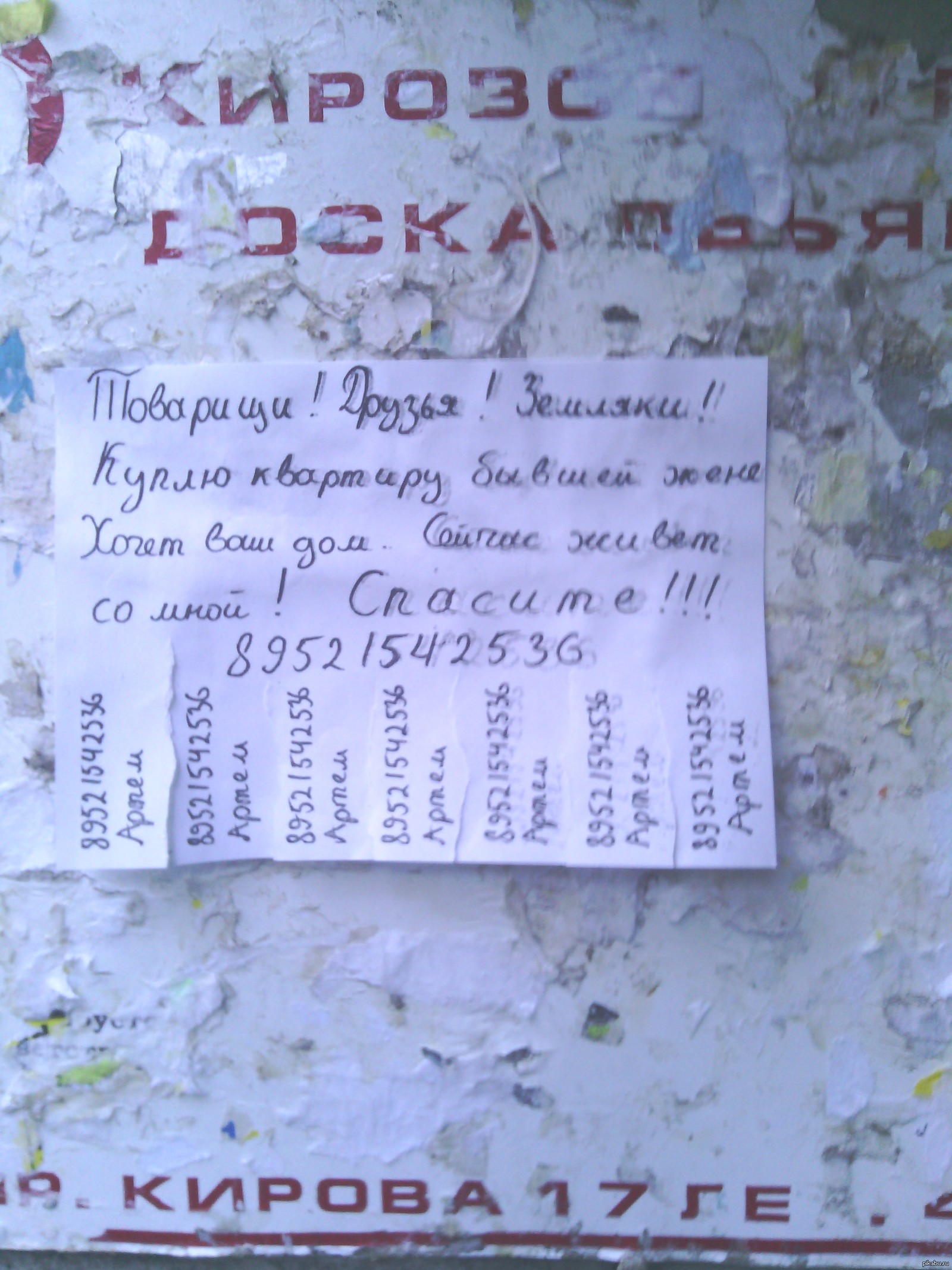 Крик души. | Пикабу