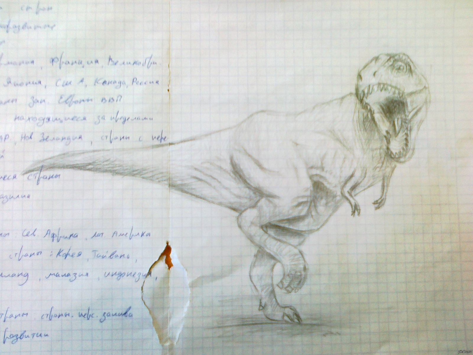 Тираннозавр рисунок карандашом