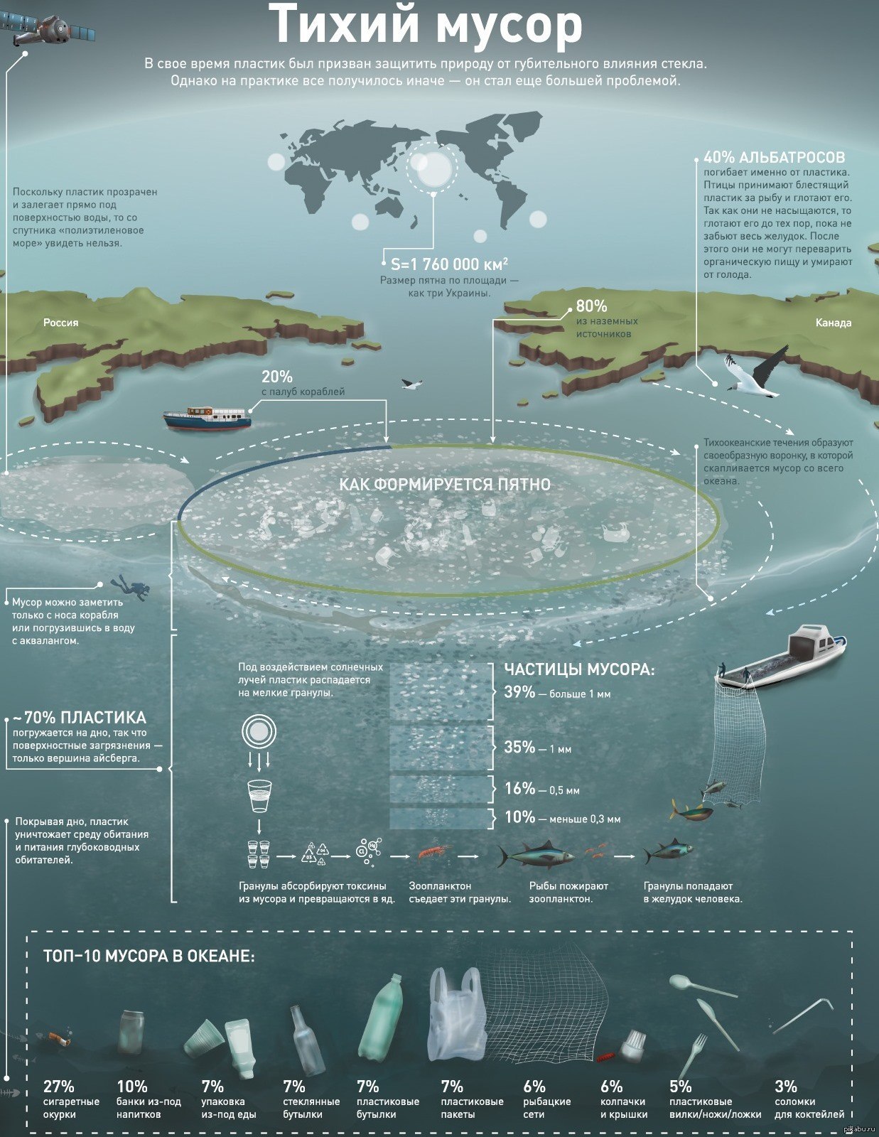 Инфографика остров
