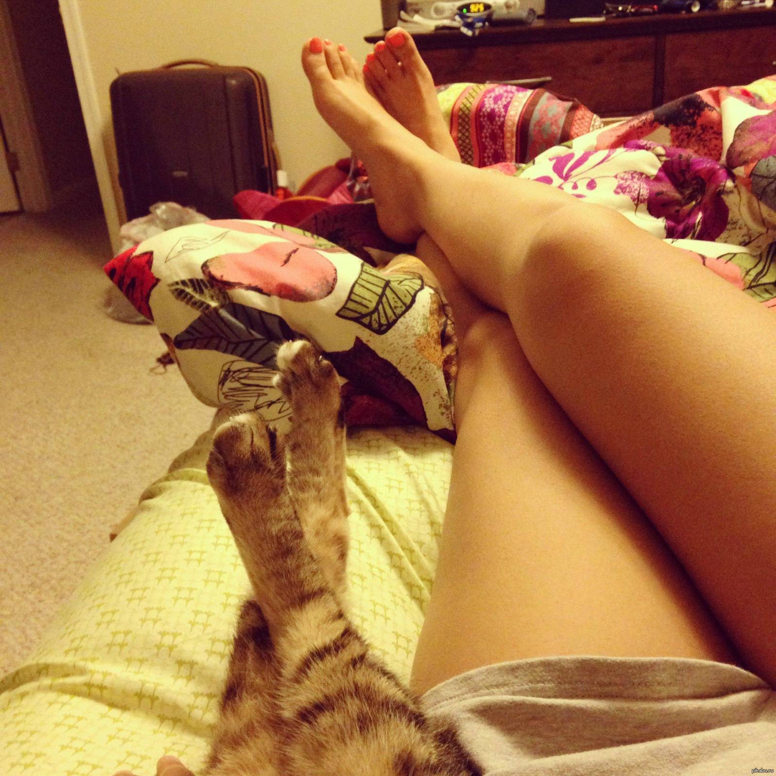 девочка на кровати с котенком