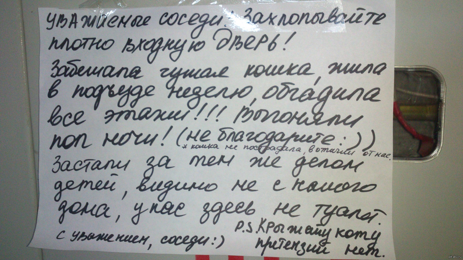 Следите за своими детьми... и рыжими котами | Пикабу