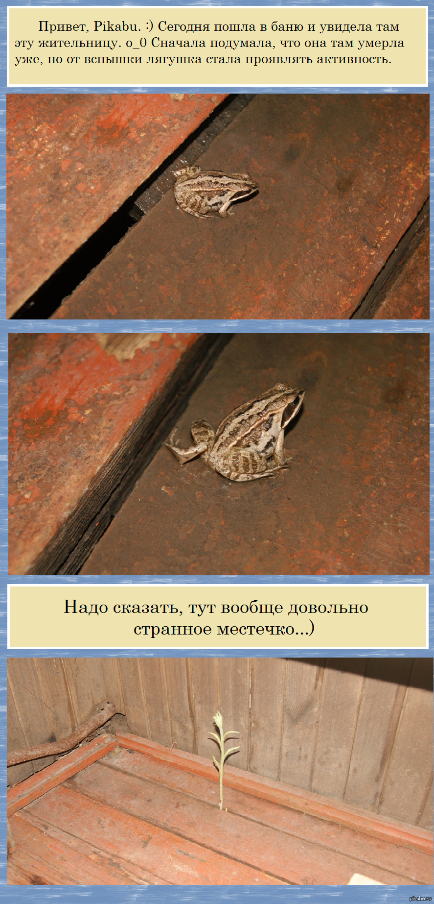 Если честно, меня немного пугает такое соседство... | Пикабу