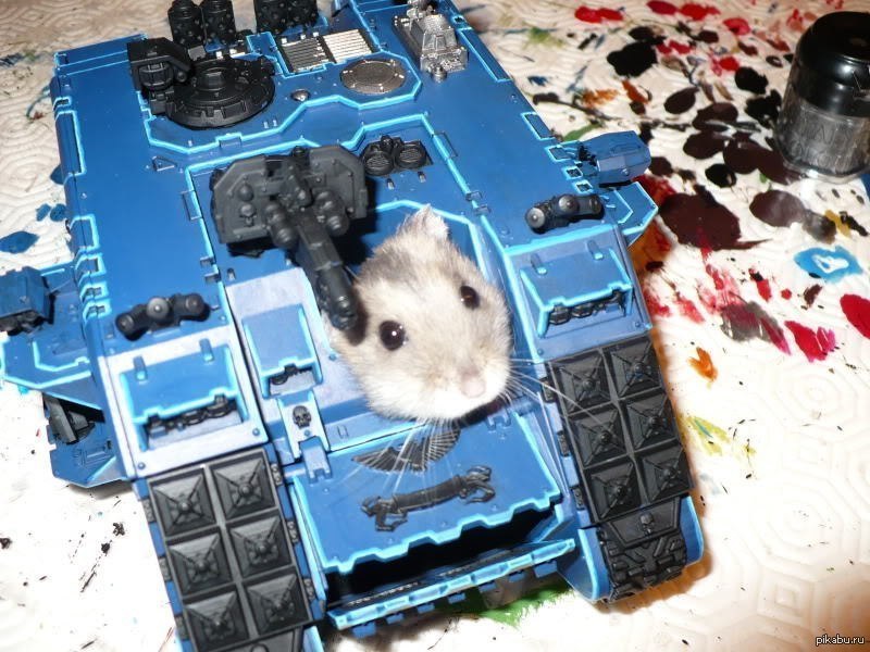 Hamster combat 16.06. Хомяк Warhammer 40000. Робот хомяк. Хомяк в танке. Хомячок Терминатор.