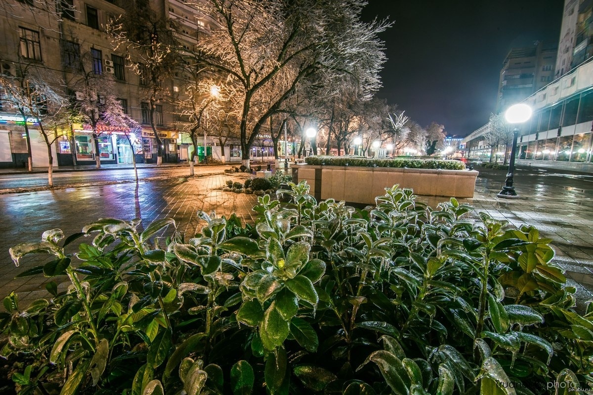 Погода в краснодаре в фото