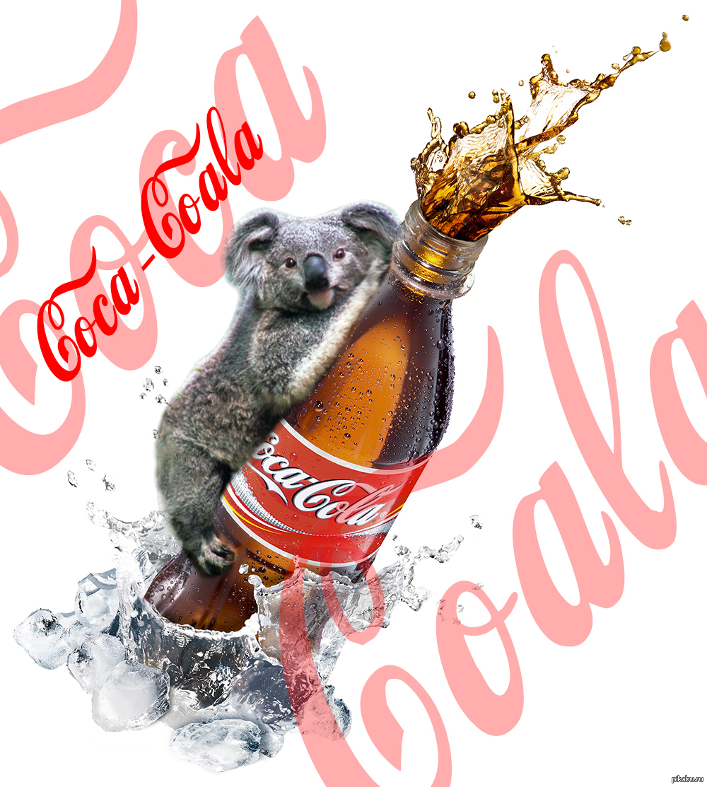 Coca-Coala (Коко-Коала) | Пикабу