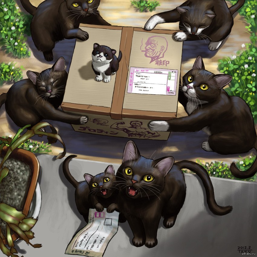 Игра 6 кошек. Японский художник Matataku. Котики арт. Кошка с котятами арт. Арт кошка домашняя.