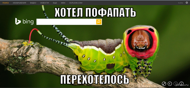 Неожиданная картинка | Пикабу