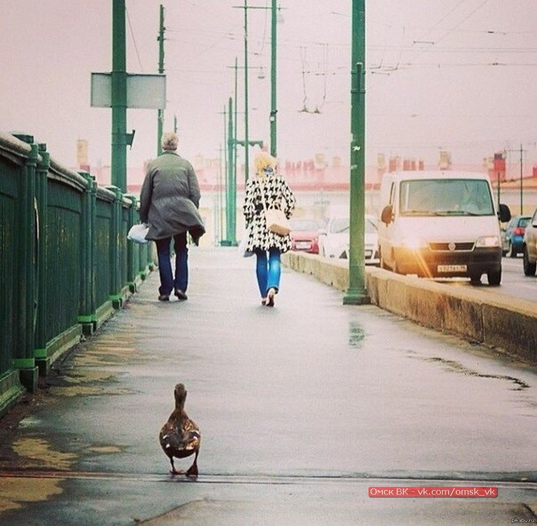 Не только я сегодня иду на работу :) Омск | Пикабу