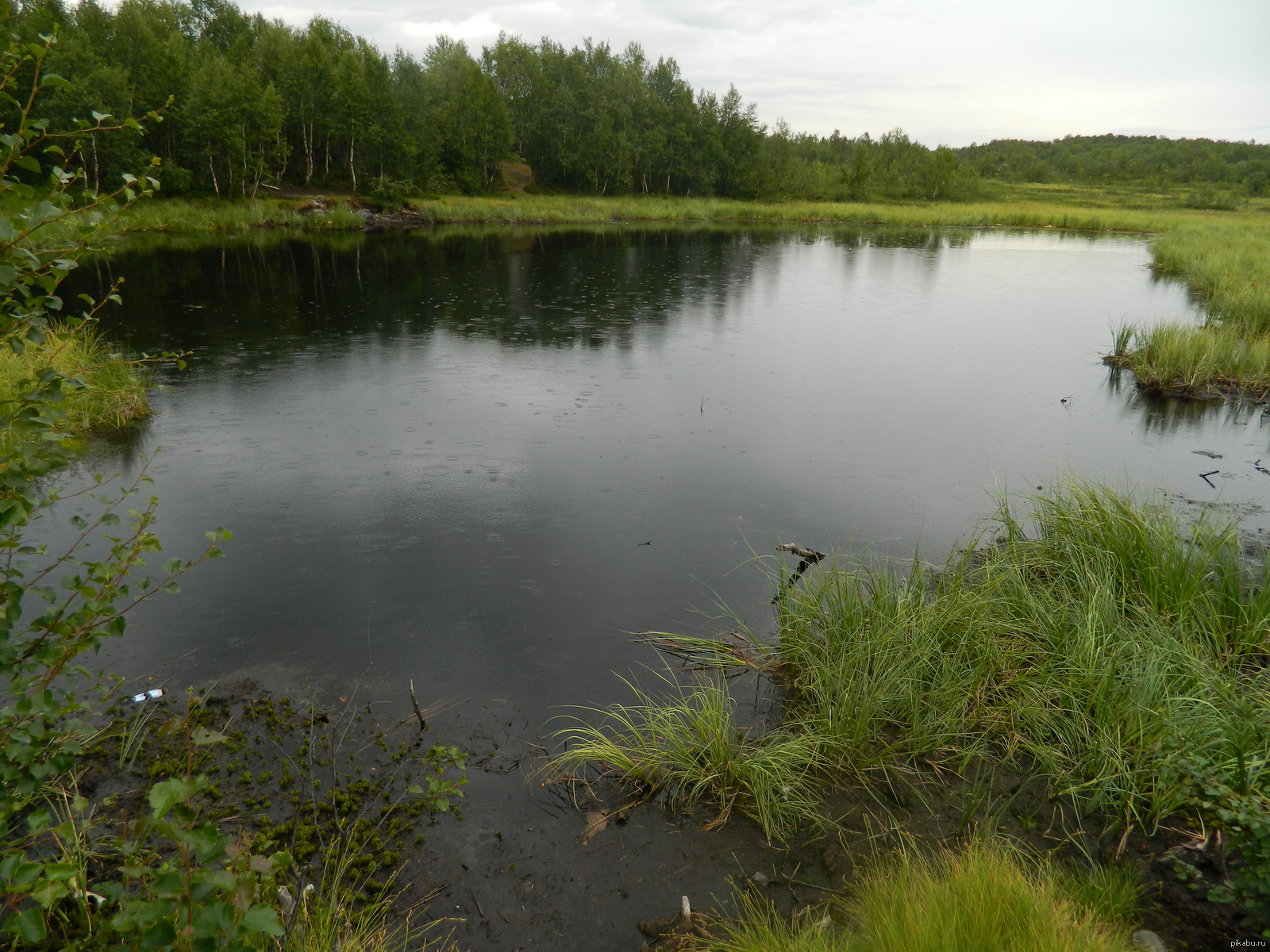 Богоявленское озеро Ивановская