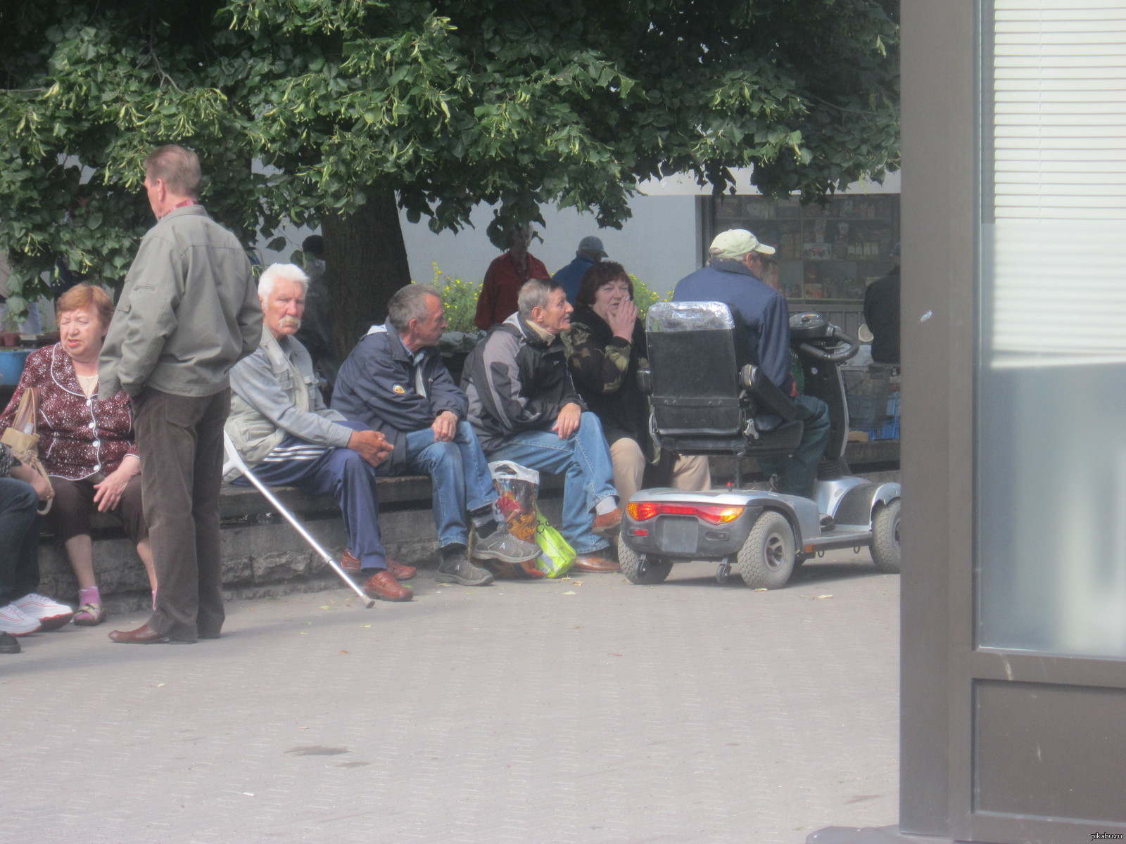 Tramp king - My, Tramp, Market, Tallinn