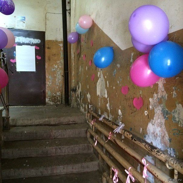 Любовь в каждый дом | Пикабу