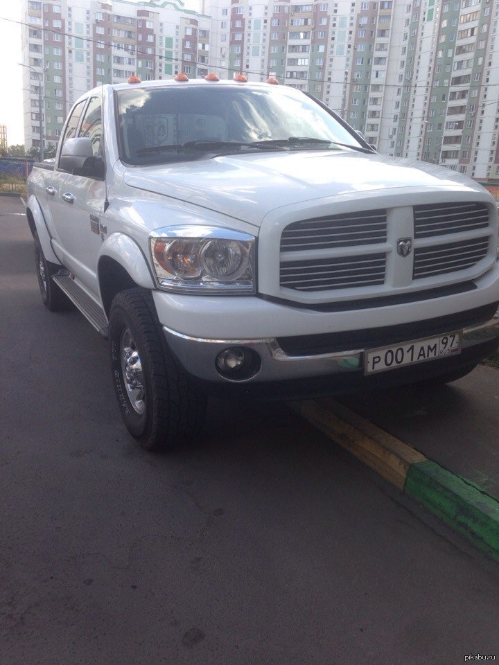 Королевские номера | Пикабу