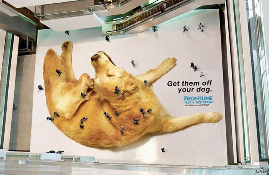 Indoor Advertising