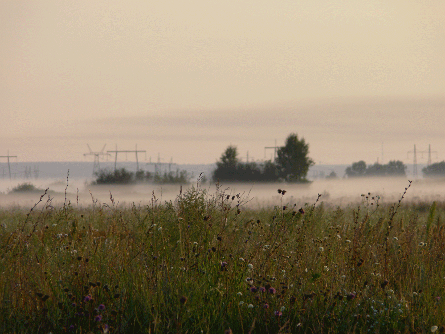 What a mist! - Fog, Chelyabinsk, My, GIF, beauty