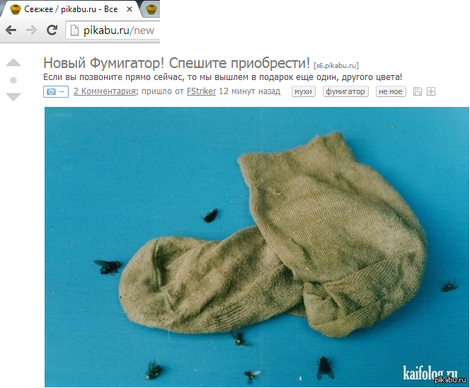 В свежем самые свежие посты! | Пикабу