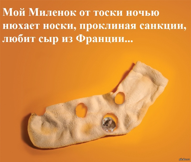 Почему носки воняют. Носки сыр. Сырные носки. Носочки с сыром. Носки с запахом.
