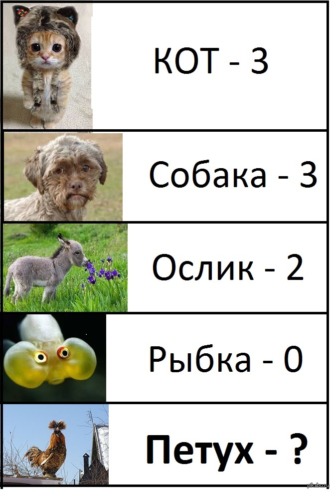 Загадка №1 (детская) | Пикабу