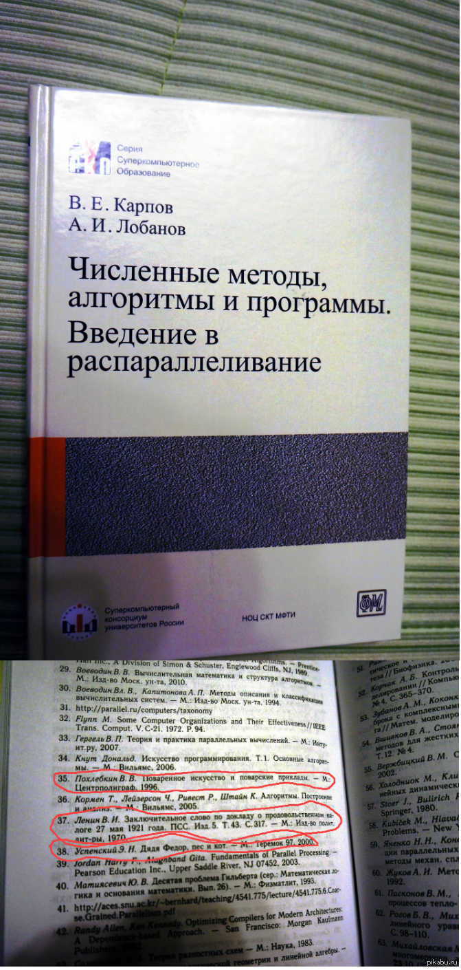 Не только в студенческих дипломах бывает разный бред в списке литературы. |  Пикабу