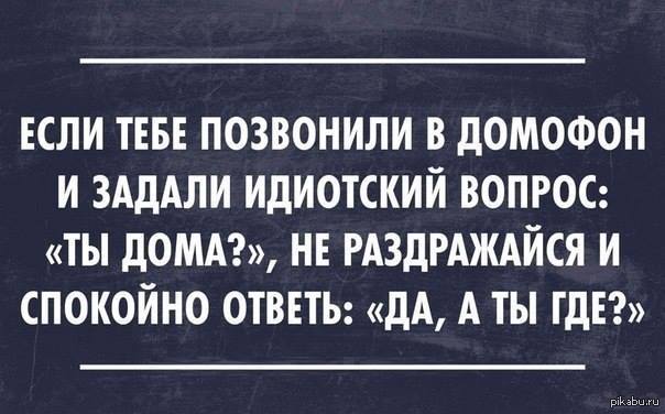 Домой вопрос. Сарказм про математику. Афоризмы про дурацкие шутки. Высказывание - злая шутка. Злая шутка цитаты.