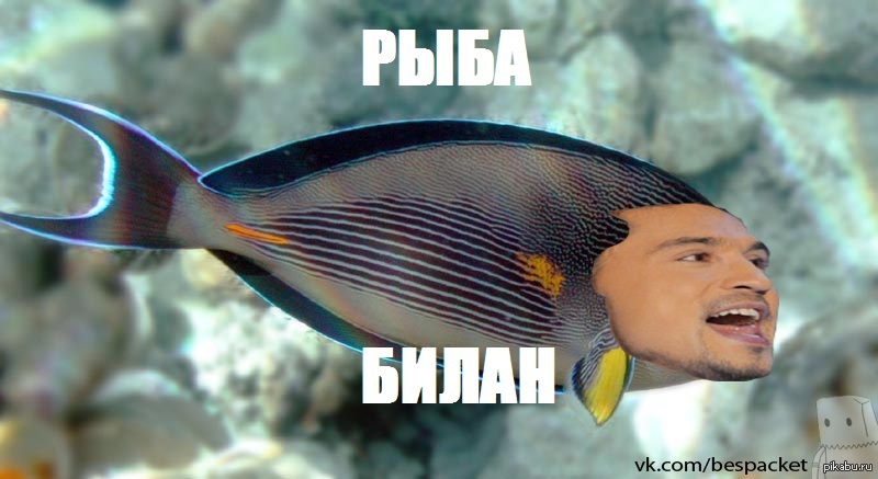 Рыба ти. Рыба Мем. Мемы с рыбами. Мемы про рыбок. Узкоглазая рыба.