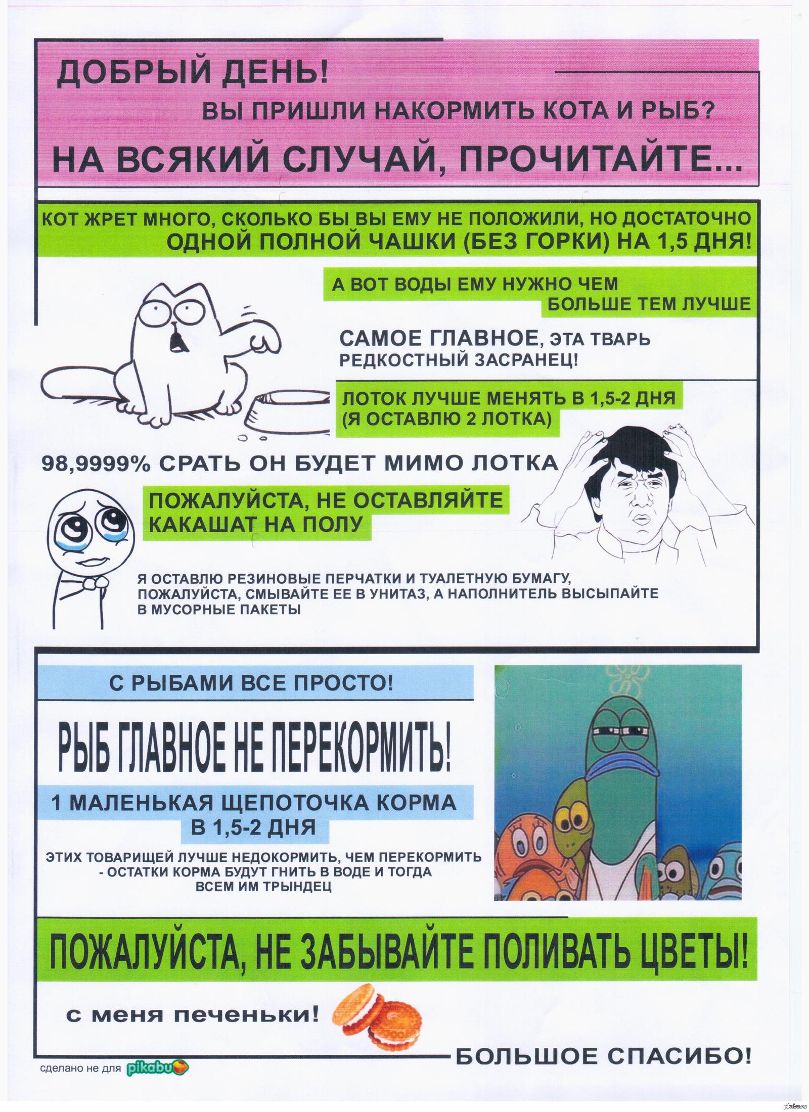 Муж присматривал за котом товарища, вот что он притащил домой. Склеено  товарищем, отсканировано мною))) | Пикабу