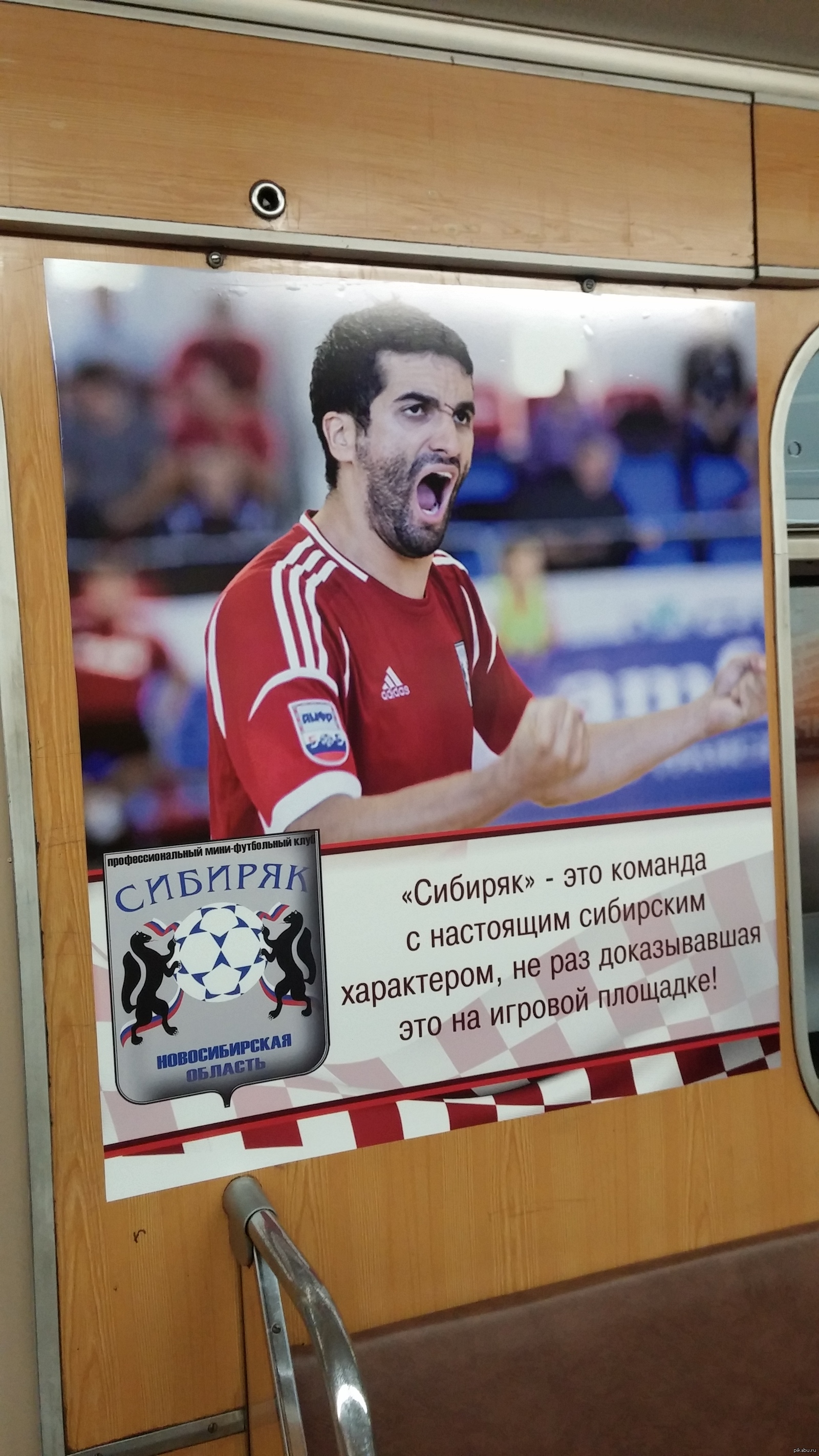 Вот так выглядит настоящий сибиряк! | Пикабу