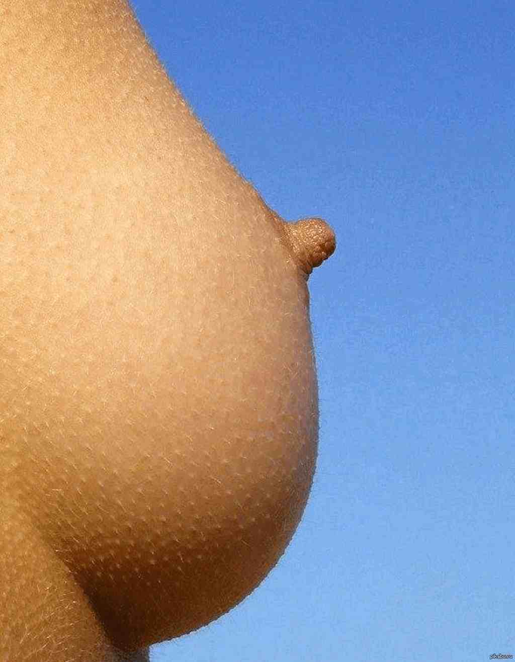 форум женской груди фото 67