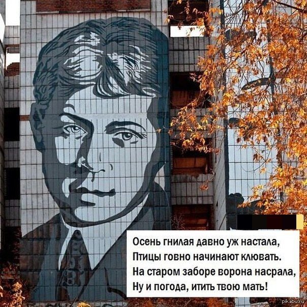 Есенин смешные картинки