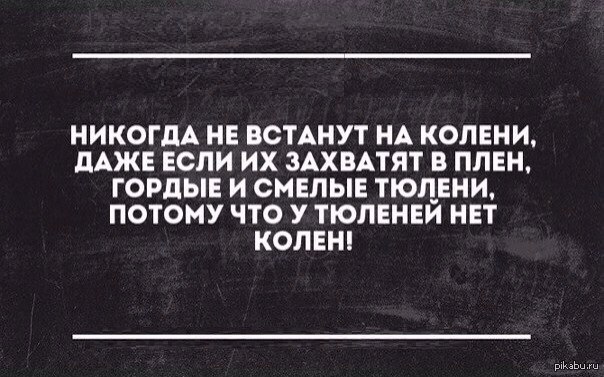 Встать на колени. Никогда не встанут на колени даже если их захватят в плен. Никогда не станут на колени гордые тюлени. Никогда не вставай на колени. На колени! Зависит от интерпретации.