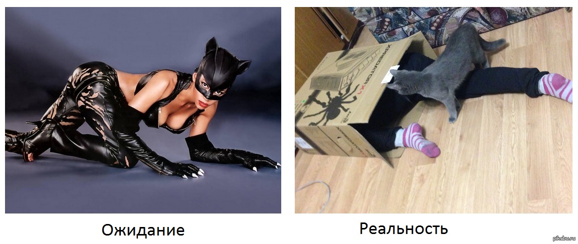 Картинки картинки, женщина кошка картинки приколы