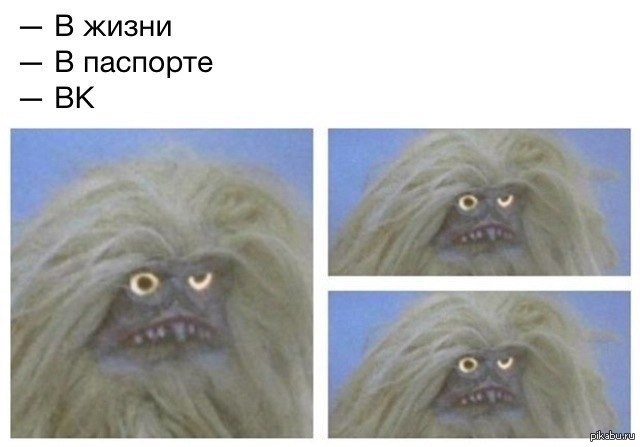 Фото на паспорт мем Жизненно) Пикабу