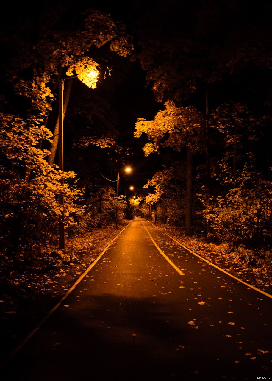 Темным осенним вечером. Осень ночь. Темная дорога. Дорога в лесу ночью. Осенняя дорога.