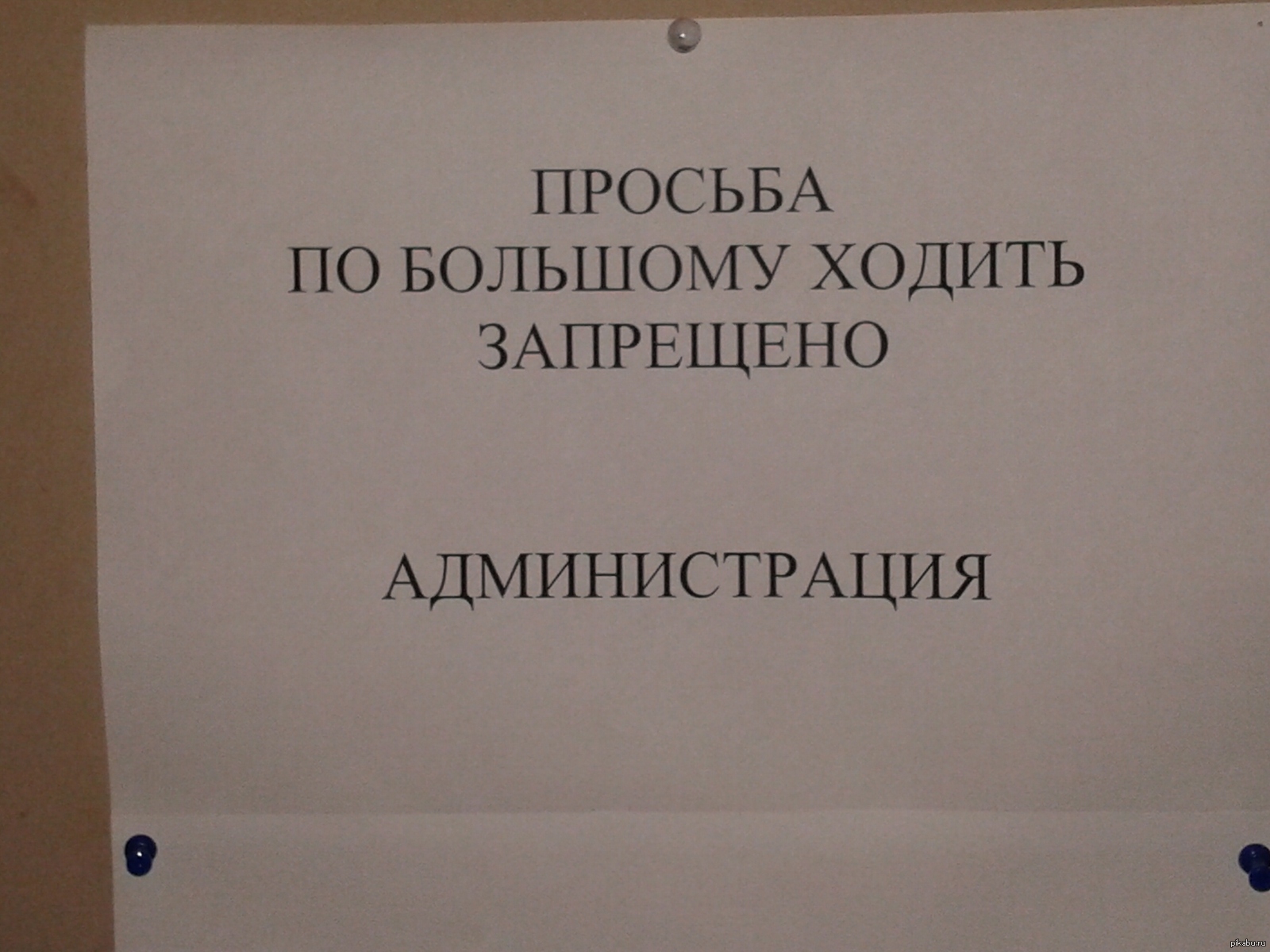 Захожу в туалет в магазине, а там.... | Пикабу