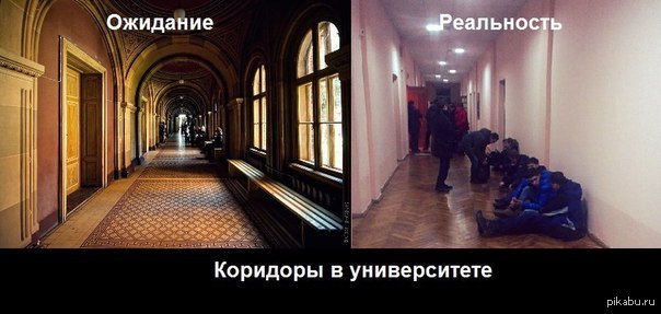 Правда жизни | Пикабу